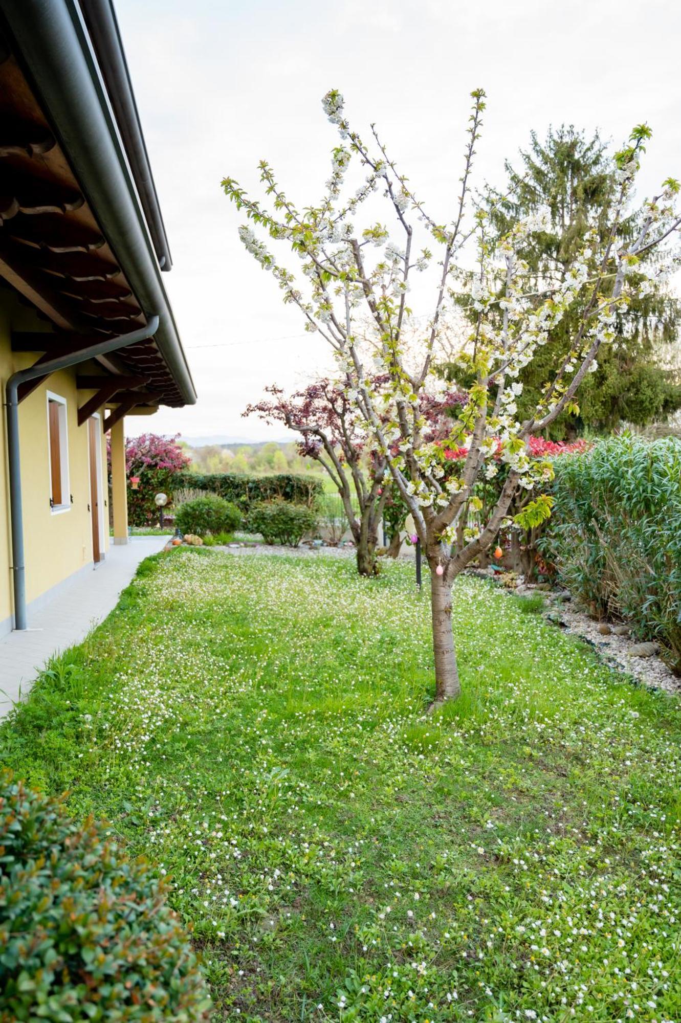 Residence Stradella Verde Staranzano Dış mekan fotoğraf