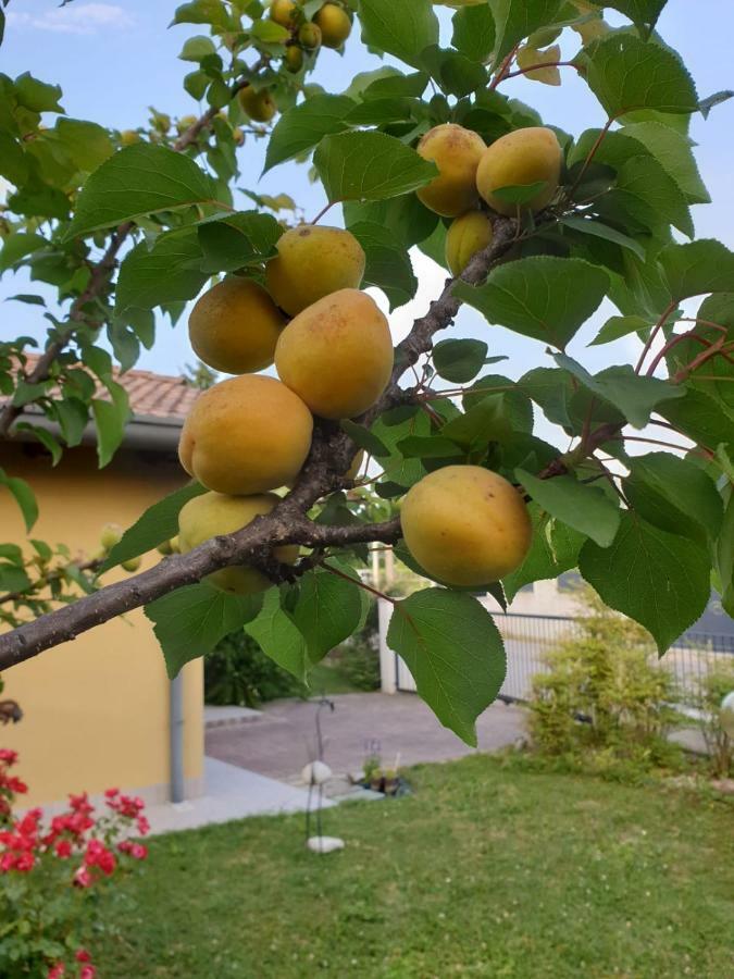 Residence Stradella Verde Staranzano Dış mekan fotoğraf