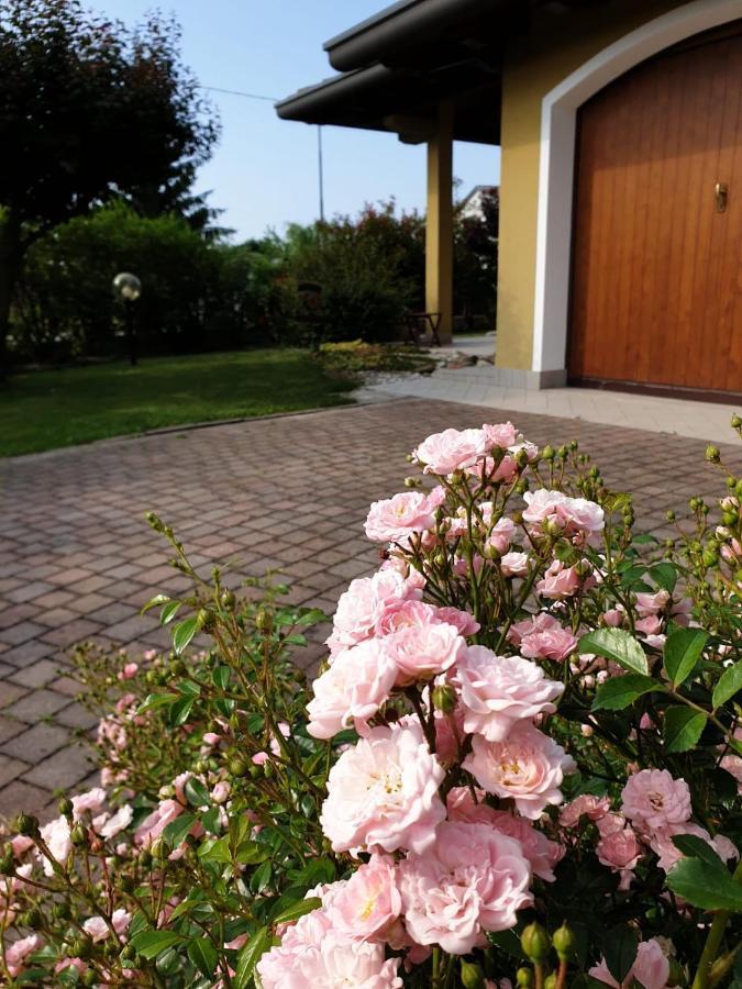 Residence Stradella Verde Staranzano Dış mekan fotoğraf